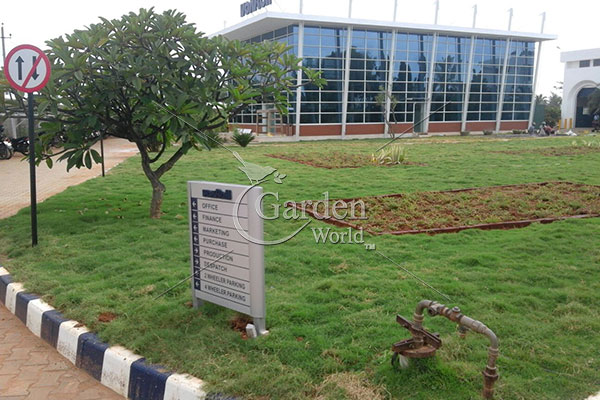 GardenWorld1's tweet photo. #landscapedesign 
Landscaping for Commercial projects Farm Houses Industries Public Spaces Real Estate Residential #RoofGarden #resortlandscaping #Landscape &amp; #GardenMaintenance #SEZ landscaping design #plantsnursery Garden UPVC Lattice #VerticalGarden
https://t.co/mmPc9BzBU3 https://t.co/VPKBJUmNjN