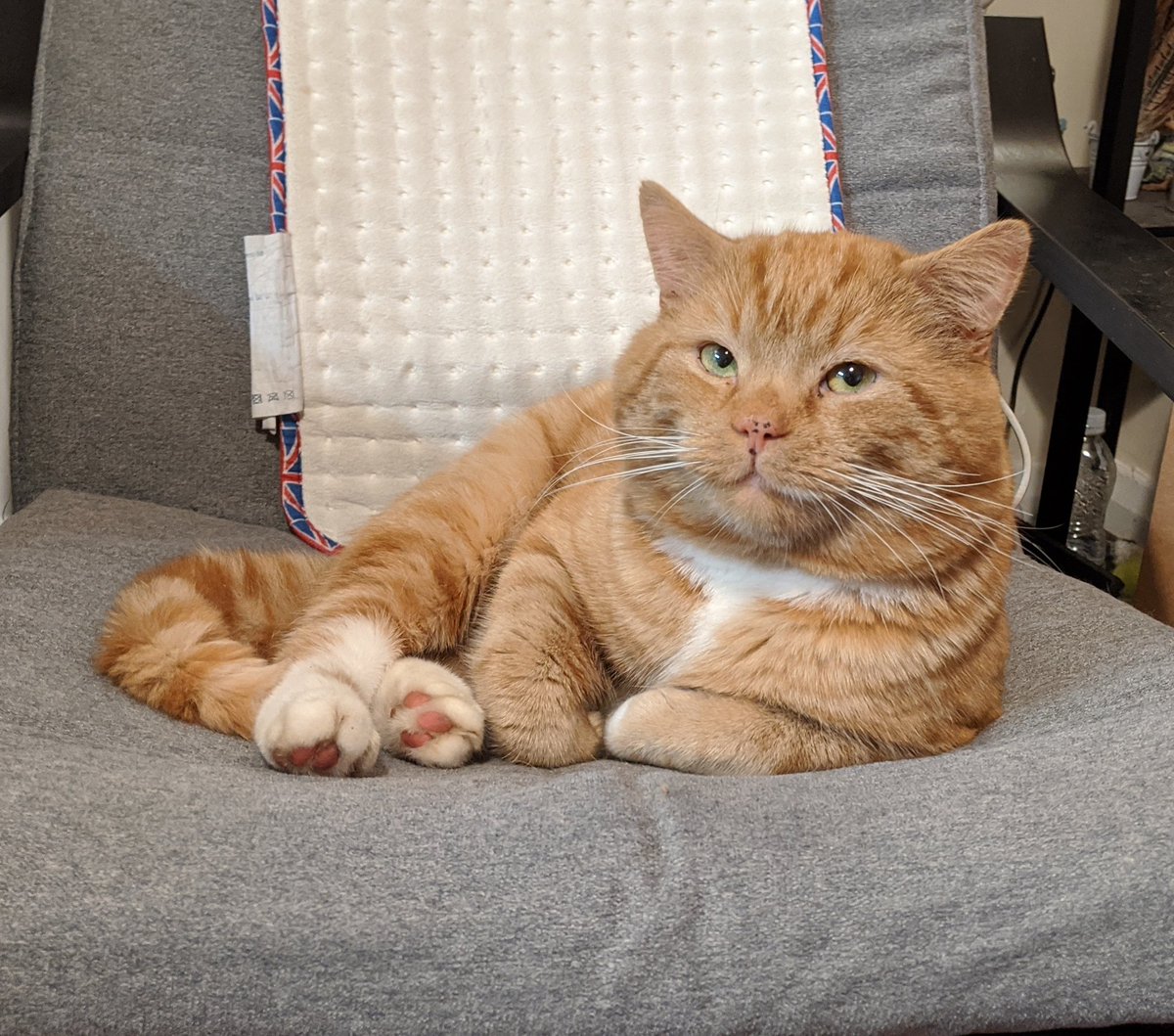 Bilbo sits on his favourite chair and looks lovingly into the camera, smiling. He says "it will be okay." The weight of his love washes over you and things are a little better.