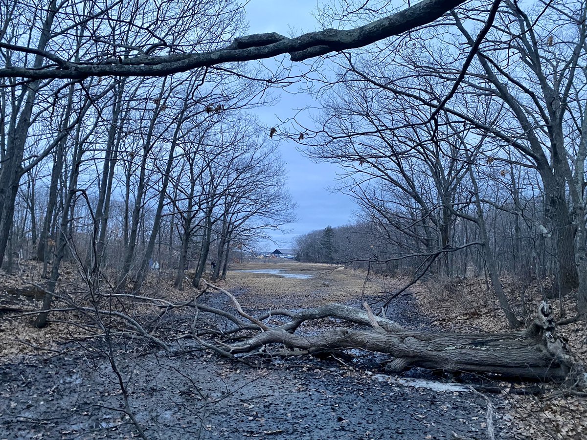 March! &ndash; bei  Fore River Trail