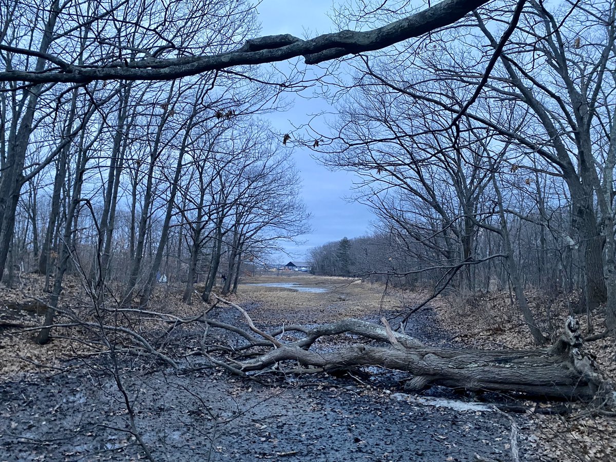 March! – bei  Fore River Trail