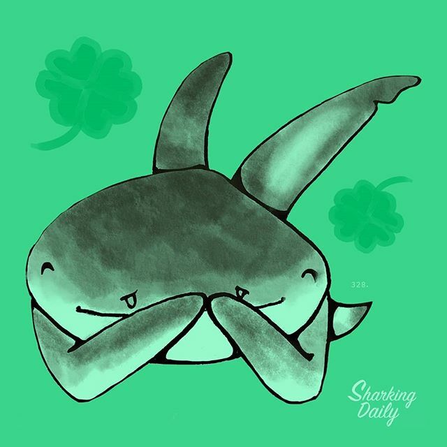 sharkingdaily's tweet photo. Day 328. Giggly Irish shark 🍀

Irish sharks love joking around, hashbrowns and.... what was that other thing again... Oh right!! Guinness 🍻
.
.
.
I'm drawing a shark every day for a year, thank you for following and supporting me 💙🙏 -----------------… https://t.co/powAt9zPNx https://t.co/NYJJChoejM
