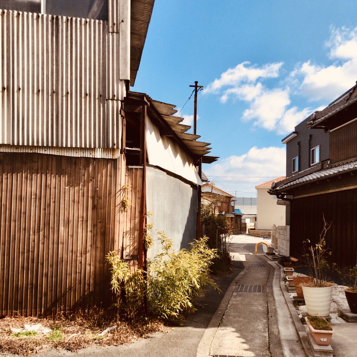 DancerHaken's tweet photo. #エモガワ #写真 #加古川 https://t.co/SG4HqEQO52