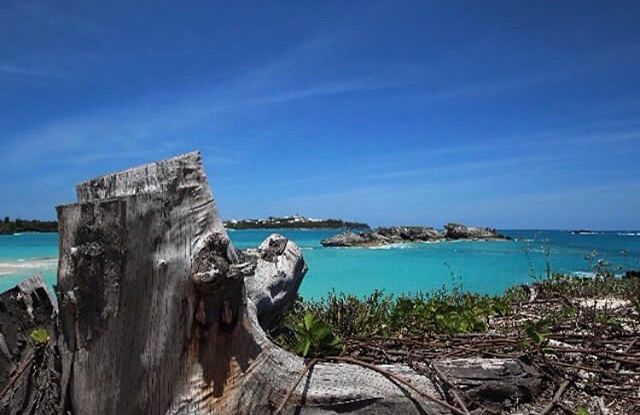 bermudarentals's tweet photo. Cooper’s Island Nature Reserve 😍🏝 #bermuda #wearebermuda #gotobermuda #bermudatriangle #travel #islandlife #beautifuldestinations #vacay #instago #wheretonext #travelgram #travellife #islandvibes #naturephotography #beachday #traveltheworld #vacation… https://t.co/sEnAVvQCu1 https://t.co/ExlwuWeuv8