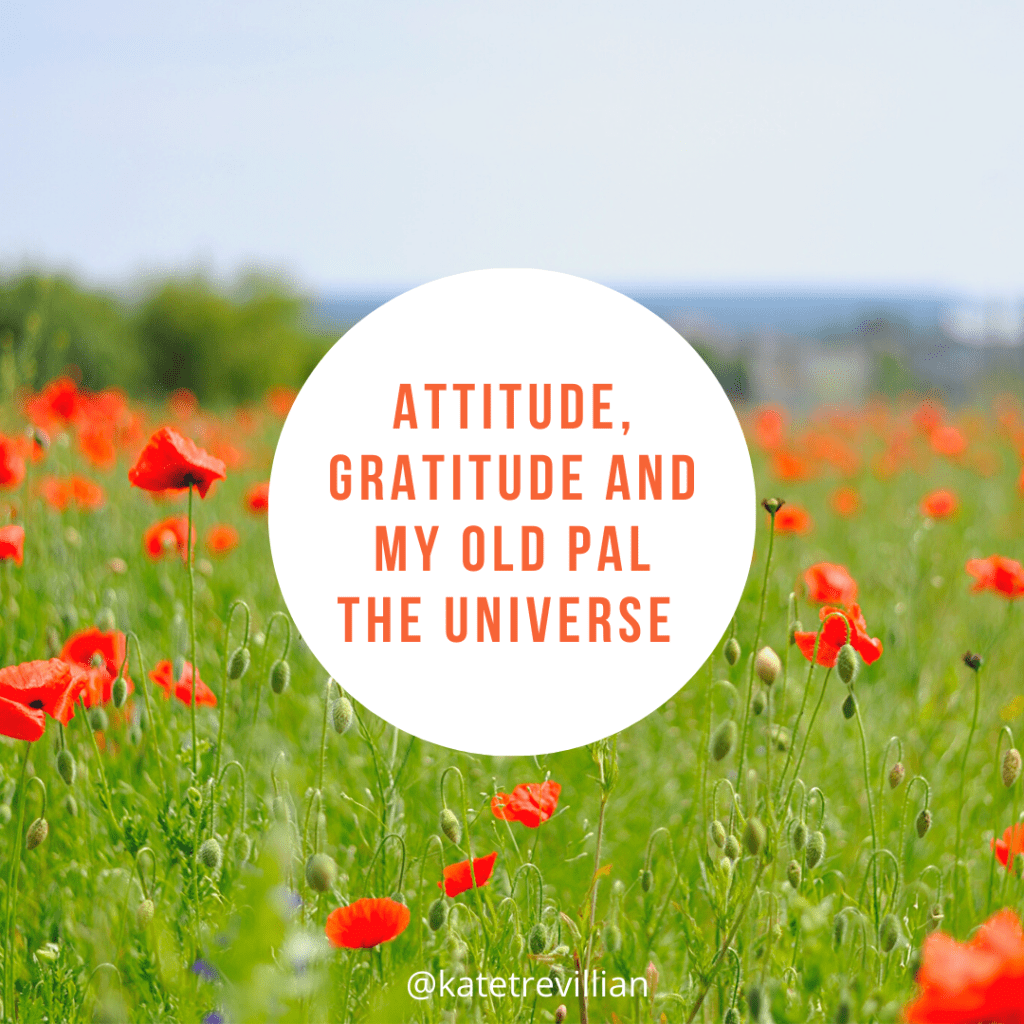 KateTrevillian's tweet photo. Attitude, Gratitude And My Old Pal The Universe https://t.co/hyrQOGfsnO https://t.co/m6blTzSzDC