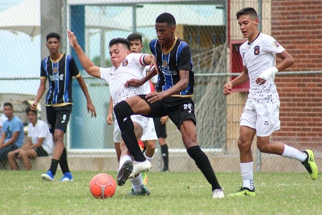 SoyNuevaPrensa's tweet photo. #Negriazules conocieron sus rivales en la Serie Élite 2020 - https://t.co/UeGPTLKriQ
#SoyNuevaPrensa #SerieElite #Deportes #Fútbol #SinCategoría https://t.co/EjZwauDAhR