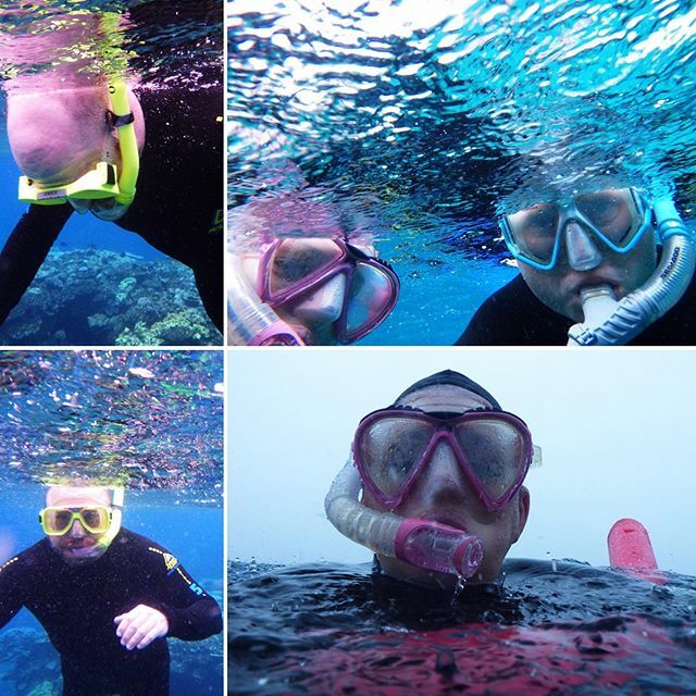 MelanieSteeves's tweet photo. #snorkeling the #greatbarrierreef off the coast of #queensland #australia  What an awesome experience. Soooo much fun. https://t.co/ax5JoLj089 https://t.co/4PyngYwo79