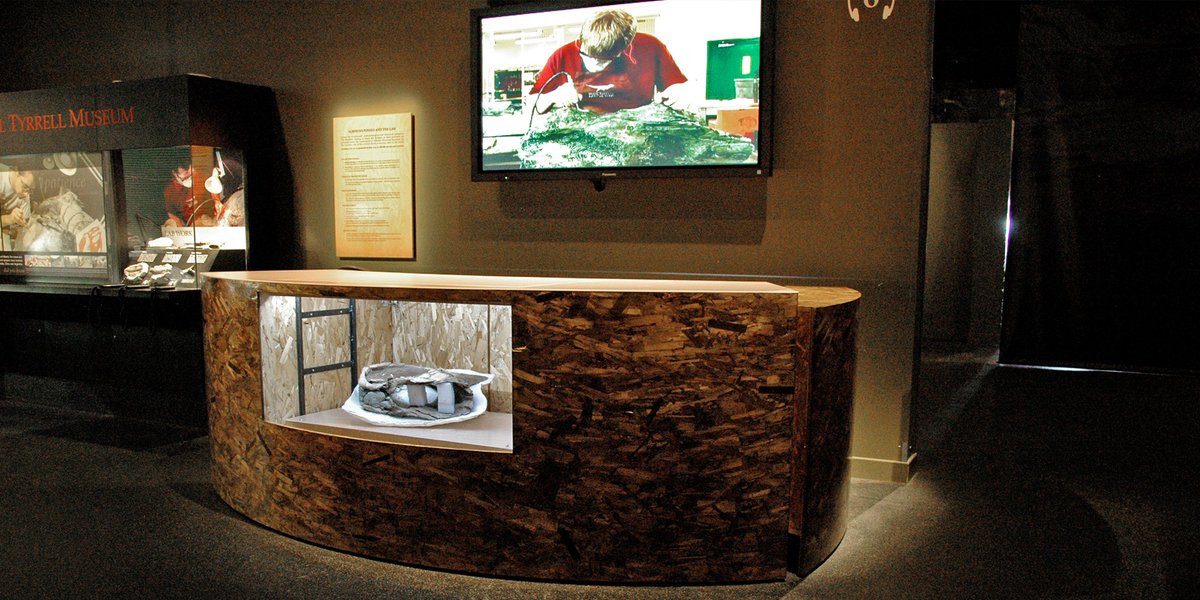 Cwestfixtures's tweet photo. Throwback to one of the projects we've done over the years with the Royal Tyrrell Museum in Drumheller. 

#museum #palaeontology #drumheller #dinosaurs #dinodna #custom #millwork #fixtures #LED #fossils https://t.co/VgRZOD4Jbl