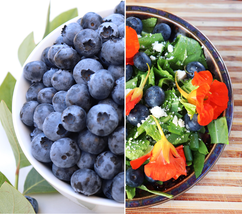 Blueberries - So yummy by themselves or in recipes! Here's a fun salad mix to share with your family and friends. hbfberries.com/recipes/fresh-…