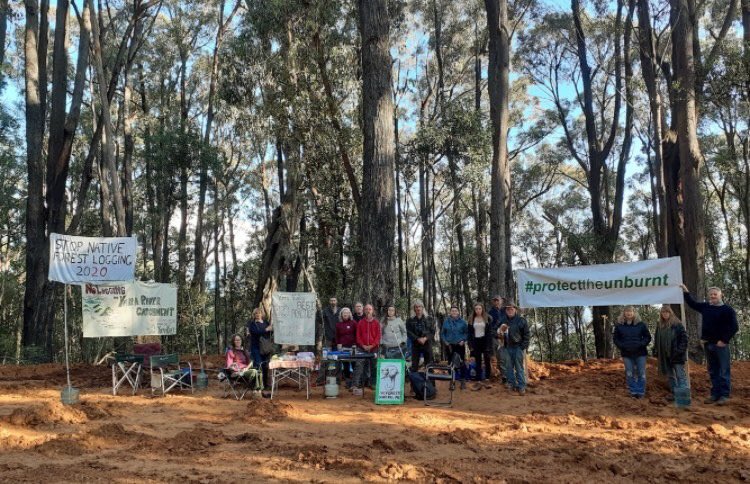 sarahrees's tweet photo. Locals take action this morning to save their town of Warburton, one of the most fire prone towns in Australia, this is incredibly traumatising for the community. #fires #classactionneeded #springst https://t.co/jItX4gXCED