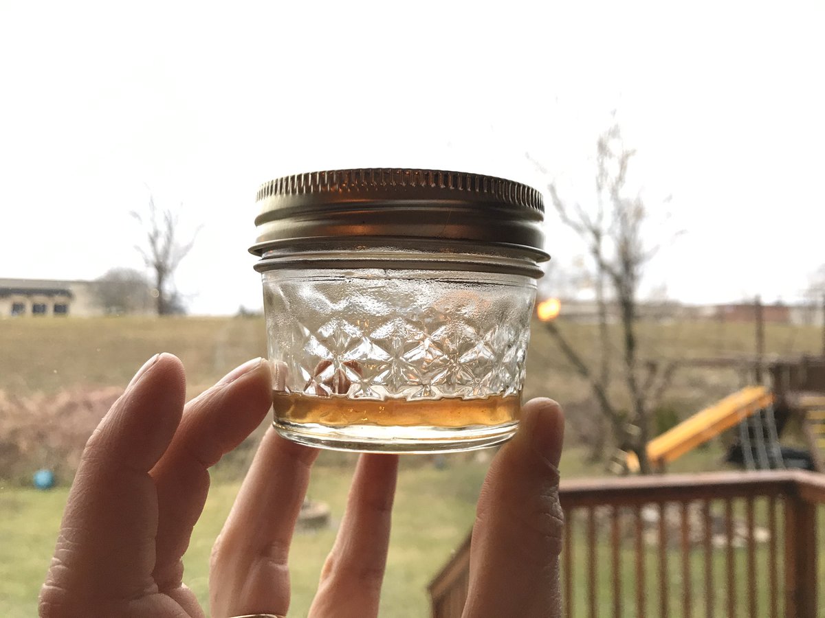 mrs_butlin's tweet photo. On Monday, the class tapped this Norway maple in our courtyard. Today we harvested 1/2 quart of sap and boiled it down to a little less than 2 tbsps of syrup. The ratio of sap to syrup of a Norway maple is 60:1 where a sugar maple is 40:1. Pancake party, here we come! https://t.co/p3s2TPcoqs