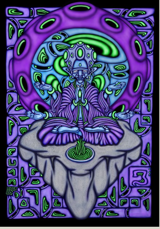 darrensangita's tweet photo. #witches #potions #herbs #psypress doing what they do best 🍄 https://t.co/NWMSZe5bjC