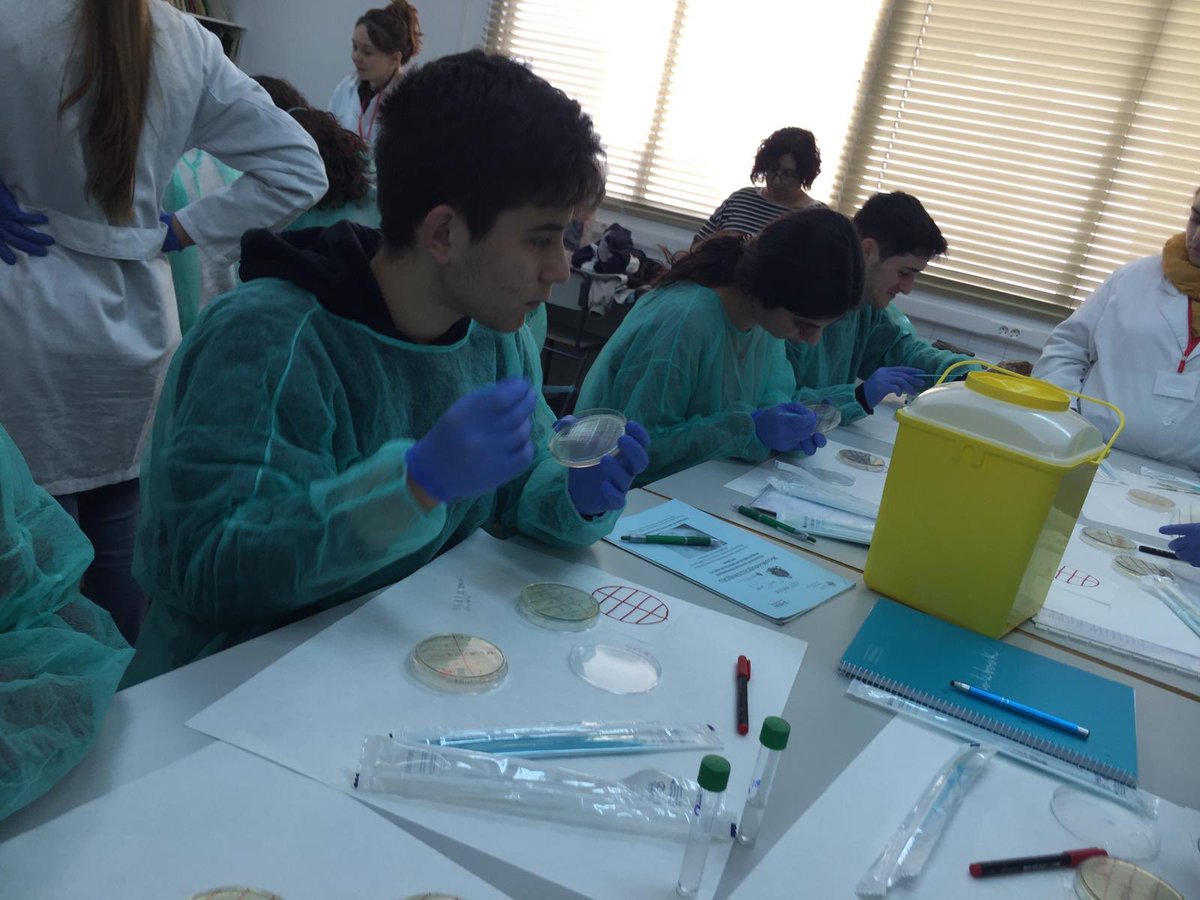 SWICEU1's tweet photo. Práctica 4⃣en #SanPedroPascual 
Los estudiantes han sembrado las 🔟🧫colonias seleccionadas en la práctica anterior frente a bacterias testigo. ¡Qué ganas de ver el resultado final! ¿Gritaremos ‘eureka’?🕵🏼‍♀ @noeliaarb14 @Amber_Devigne @zahomery @CienciaUCHCEU @uchceu https://t.co/s8NmeWybWf