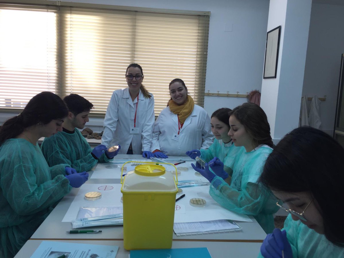 SWICEU1's tweet photo. Práctica 4⃣en #SanPedroPascual 
Los estudiantes han sembrado las 🔟🧫colonias seleccionadas en la práctica anterior frente a bacterias testigo. ¡Qué ganas de ver el resultado final! ¿Gritaremos ‘eureka’?🕵🏼‍♀ @noeliaarb14 @Amber_Devigne @zahomery @CienciaUCHCEU @uchceu https://t.co/s8NmeWybWf