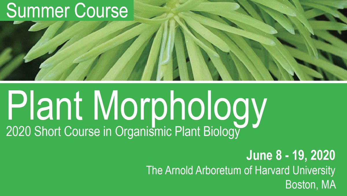Application deadline approaching! 2 weeks + 15k living plant specimens + microscopy lab = Arnold Arboretum’s summer course on Plant Morphology. Apply now! arboretum.harvard.edu/education/summ…