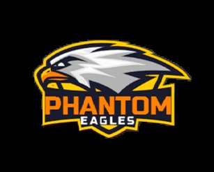 BearsLeague's tweet photo. Noveno equipo en la liga, @PhantomEaglesGG https://t.co/KMb53PLi6f