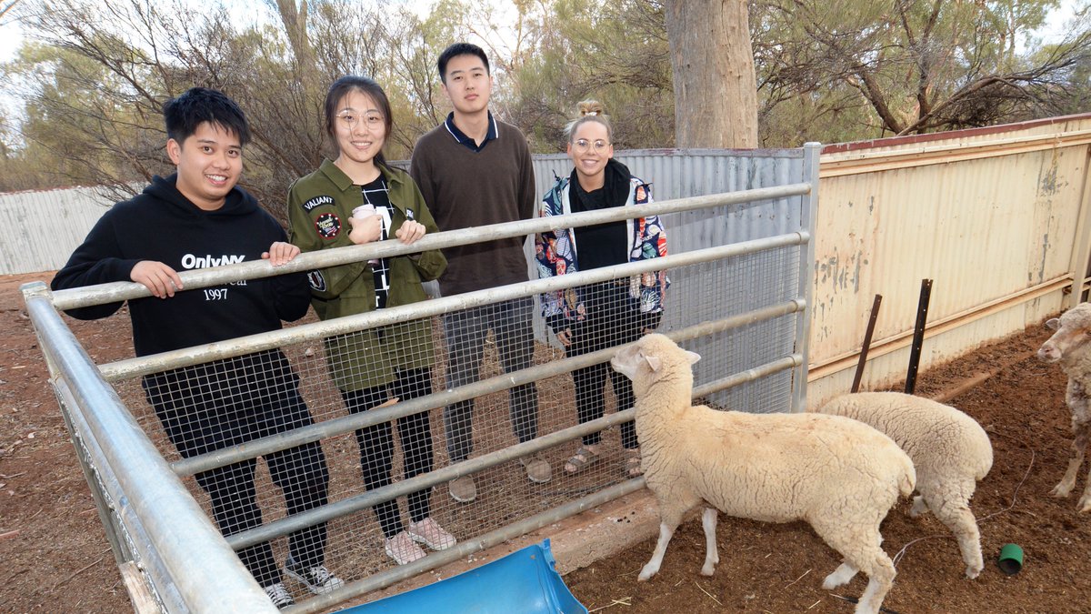 Myles Burt tweet media