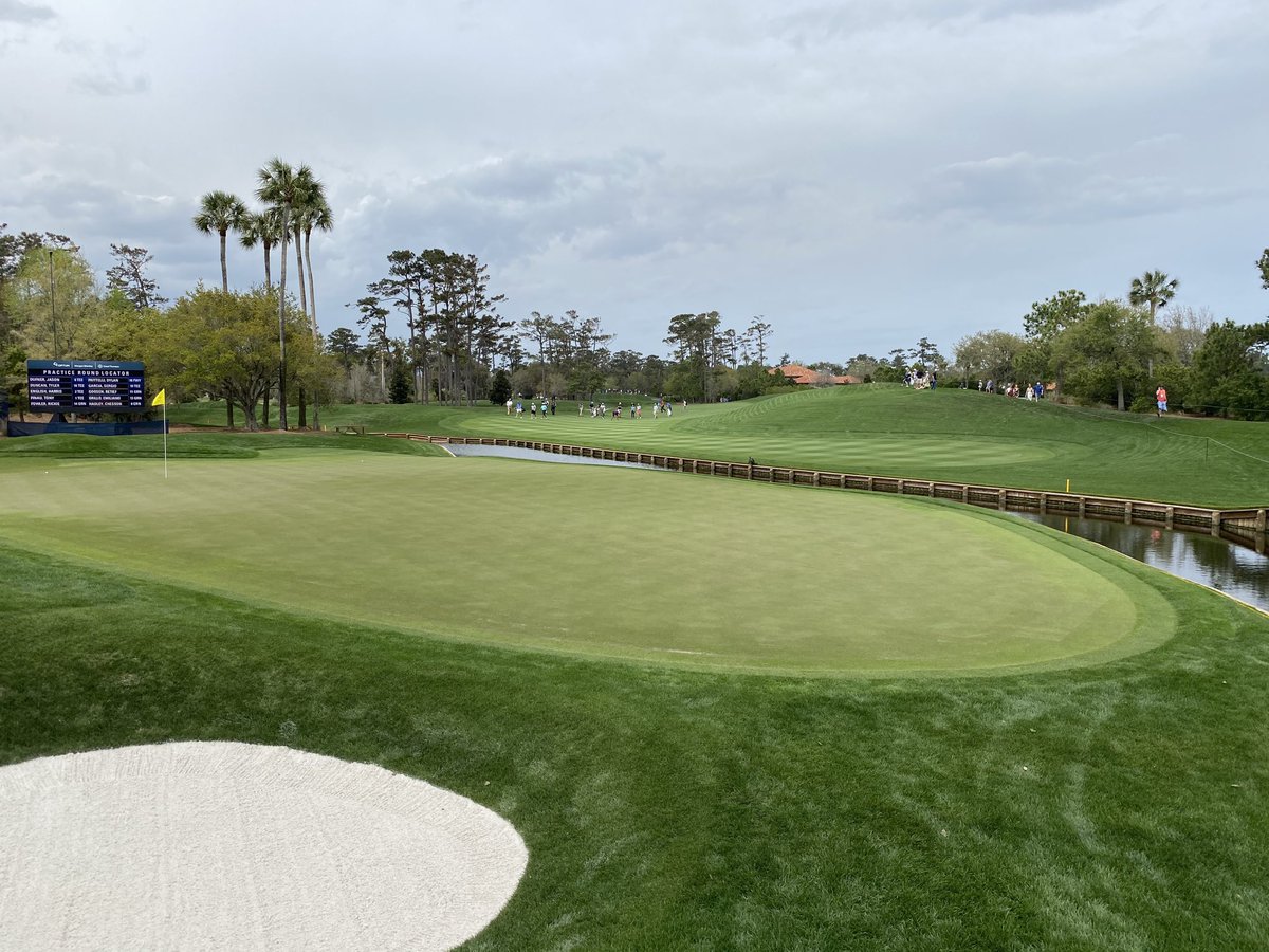 Buck Workman tweet media