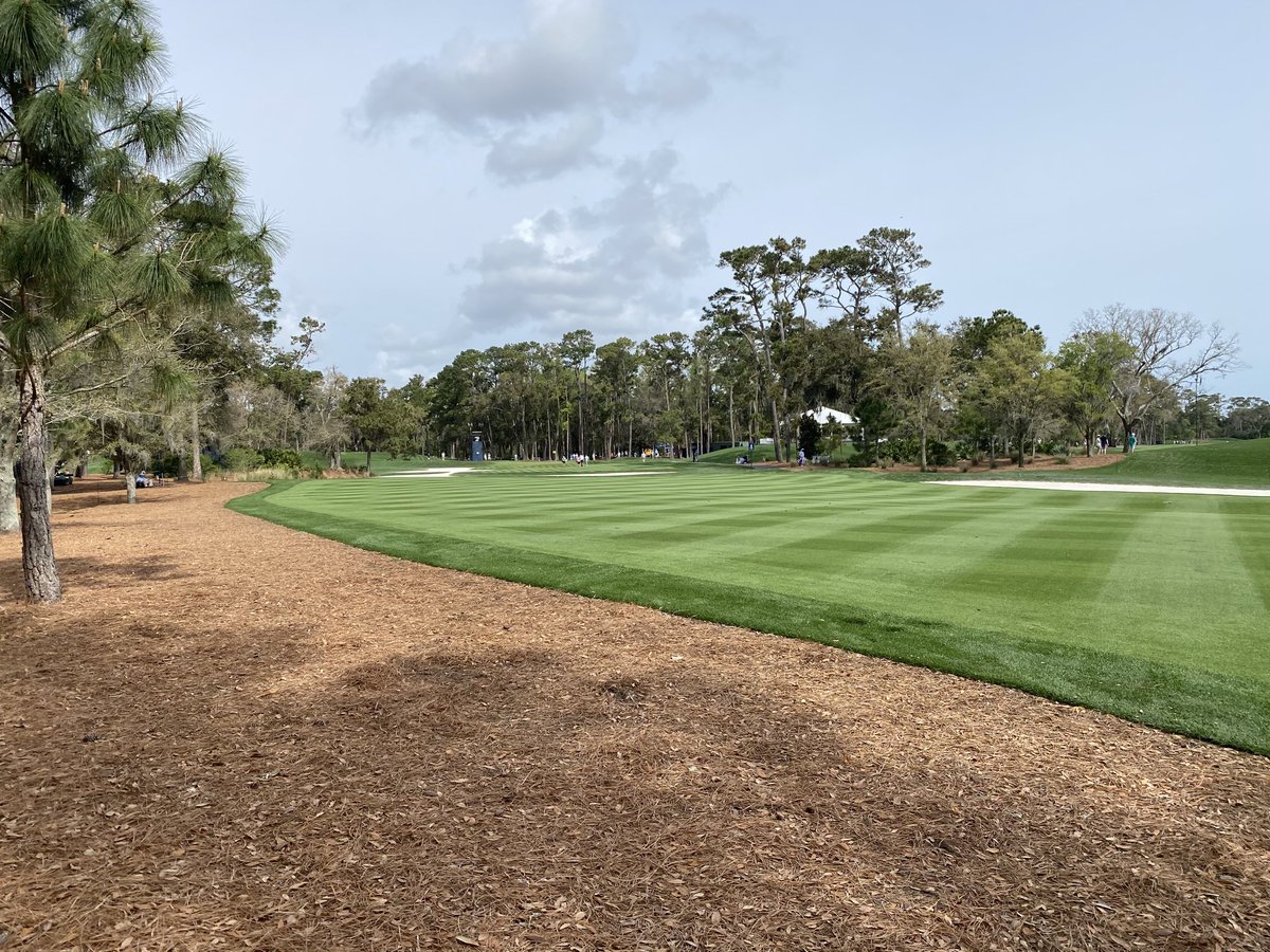 Buck Workman tweet media