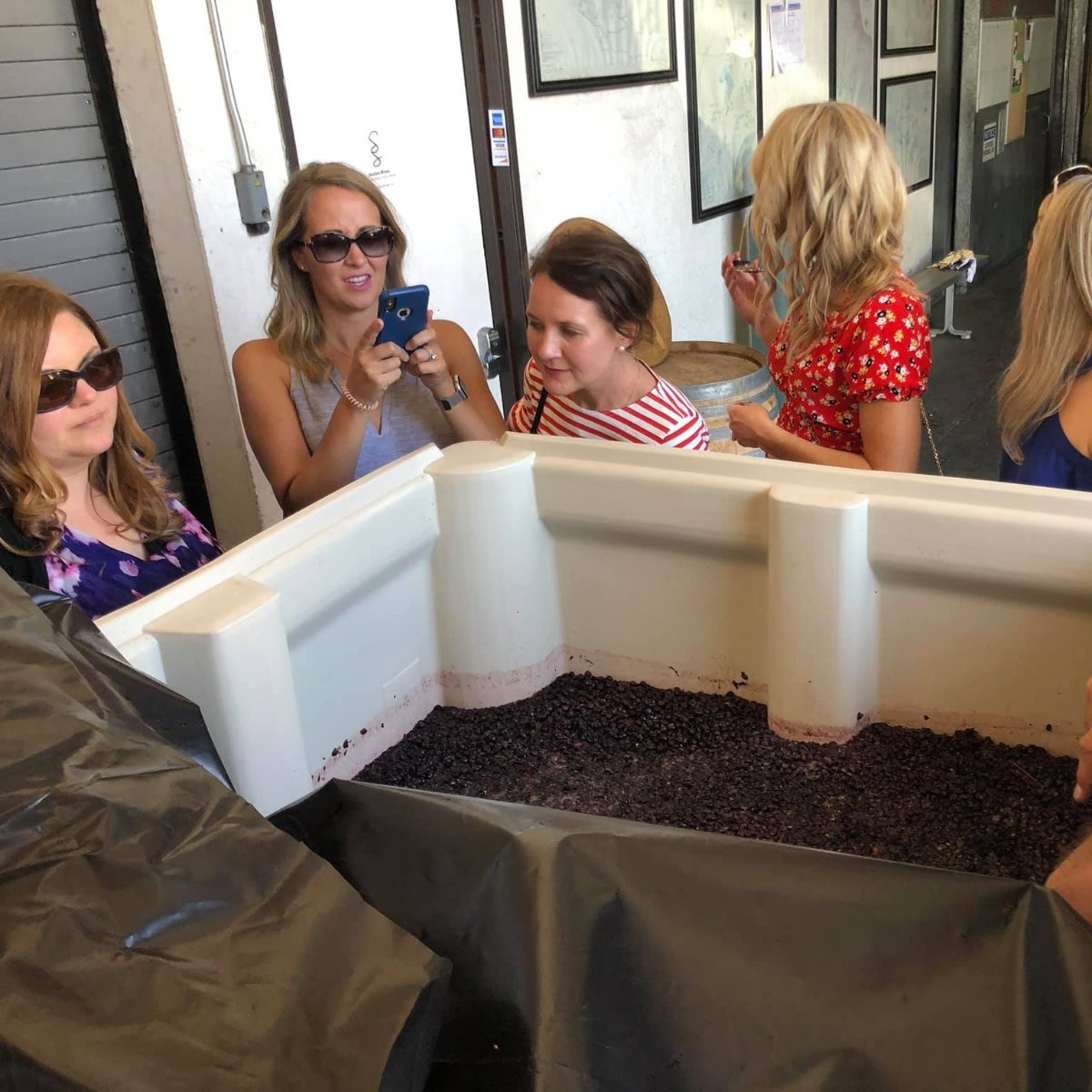 Stagecoach Wine Tours tweet media