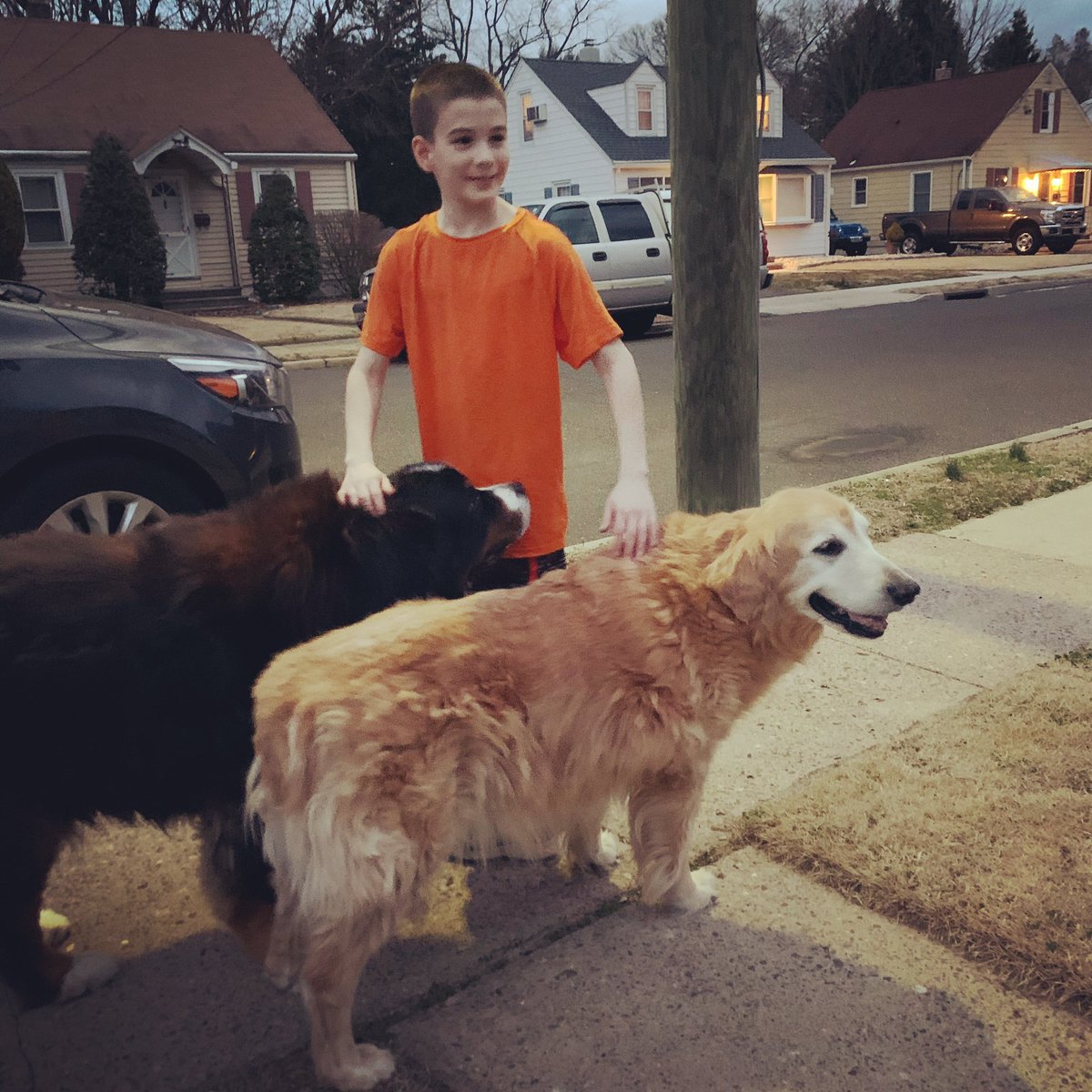 realmomshealth's tweet photo. Sunset run with this kid. Got to meet up with these fluffy friends, too! 

 #lifeisgood #gratitude #running #neededthisrun #stressbuster #healthyhabits #runningfamily https://t.co/cD1PVMJbVl