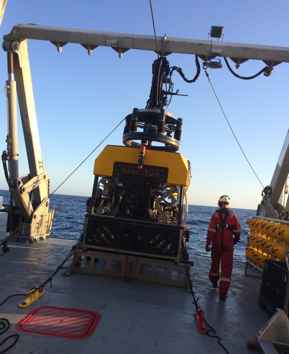 First dive for our #NingalooCanyons #NyingguluCanyons expedition! <a href="/SchmidtOcean/">Schmidt Ocean</a> <a href="/wamuseum/">Western Australian Museum</a>