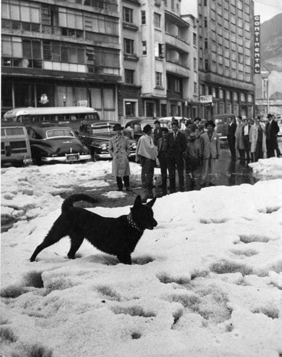 ElMotoNauta77's tweet photo. Esta foto de Leo Matiz, capturada en los años 50, muestra otra #granizada en Bogotá. Pasa todos los años. #granizo #Bogota https://t.co/0reGGEkGjj