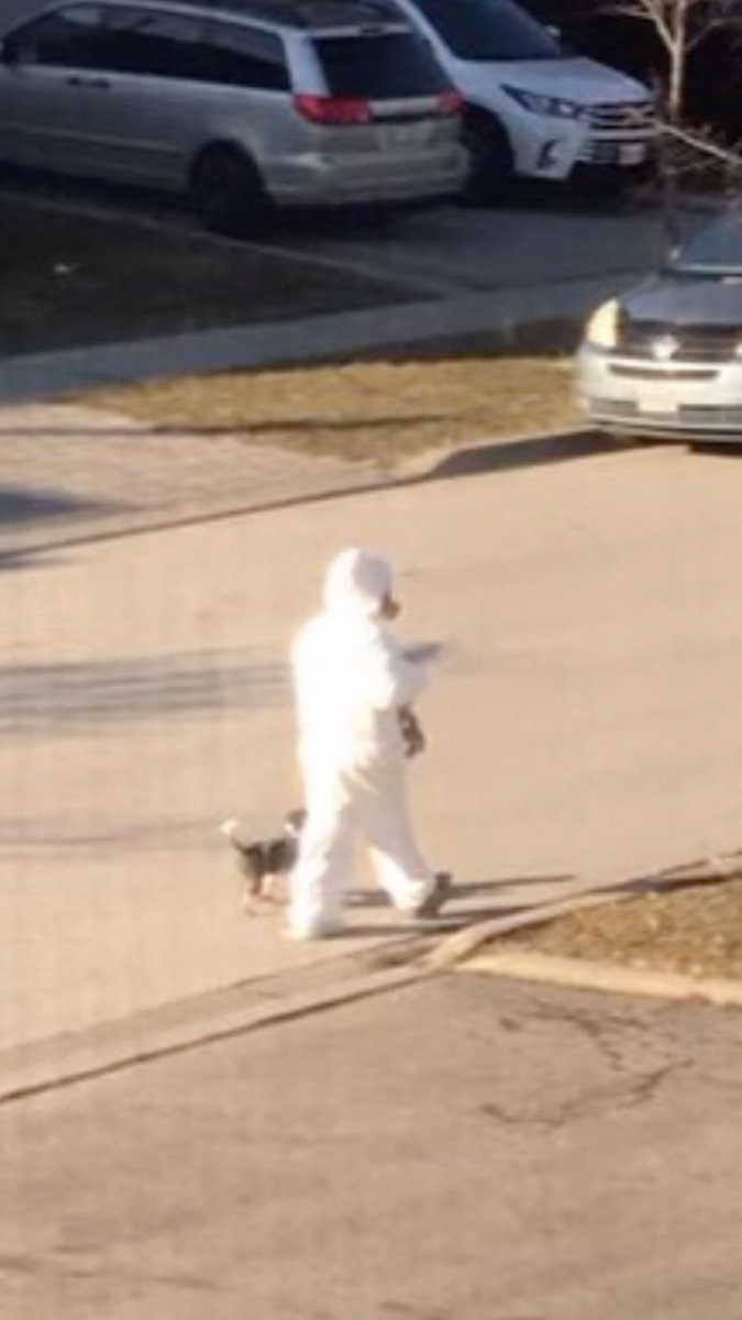 Milann777's tweet photo. Seen this outside my house 😂😂
Its official
Wheres the protection for the dog tho??? https://t.co/Uv99Cr75zl