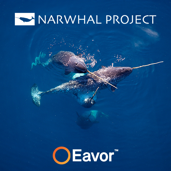 eavortech's tweet photo. Eavor is proud to be identified as a potential future Unicorn by The Narwhal List – 2020

https://t.co/OA7VbR9LYM

#baseload #scalable #albertaenergy #eavor #energy #resiliency #steady #reliable #energyforeavor #narwhallist #narwhallist2020 https://t.co/TmEeDzwxM3