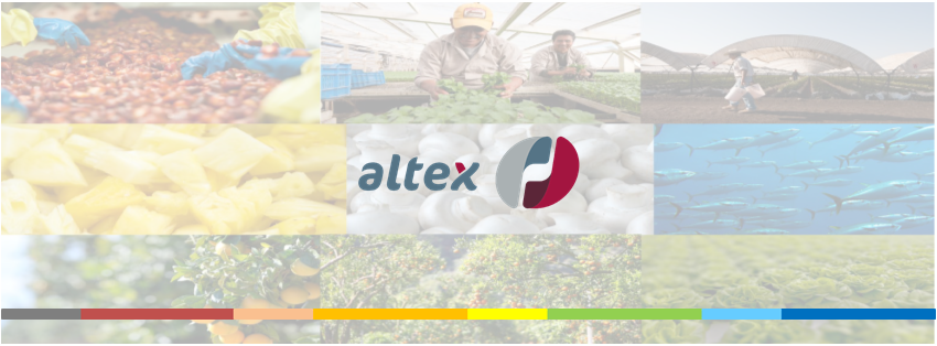 AltexTalento tweet picture