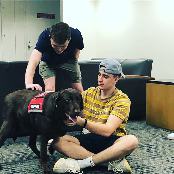 BBB residents having a stress relieving time making stress balls and playing with therapy dogs!