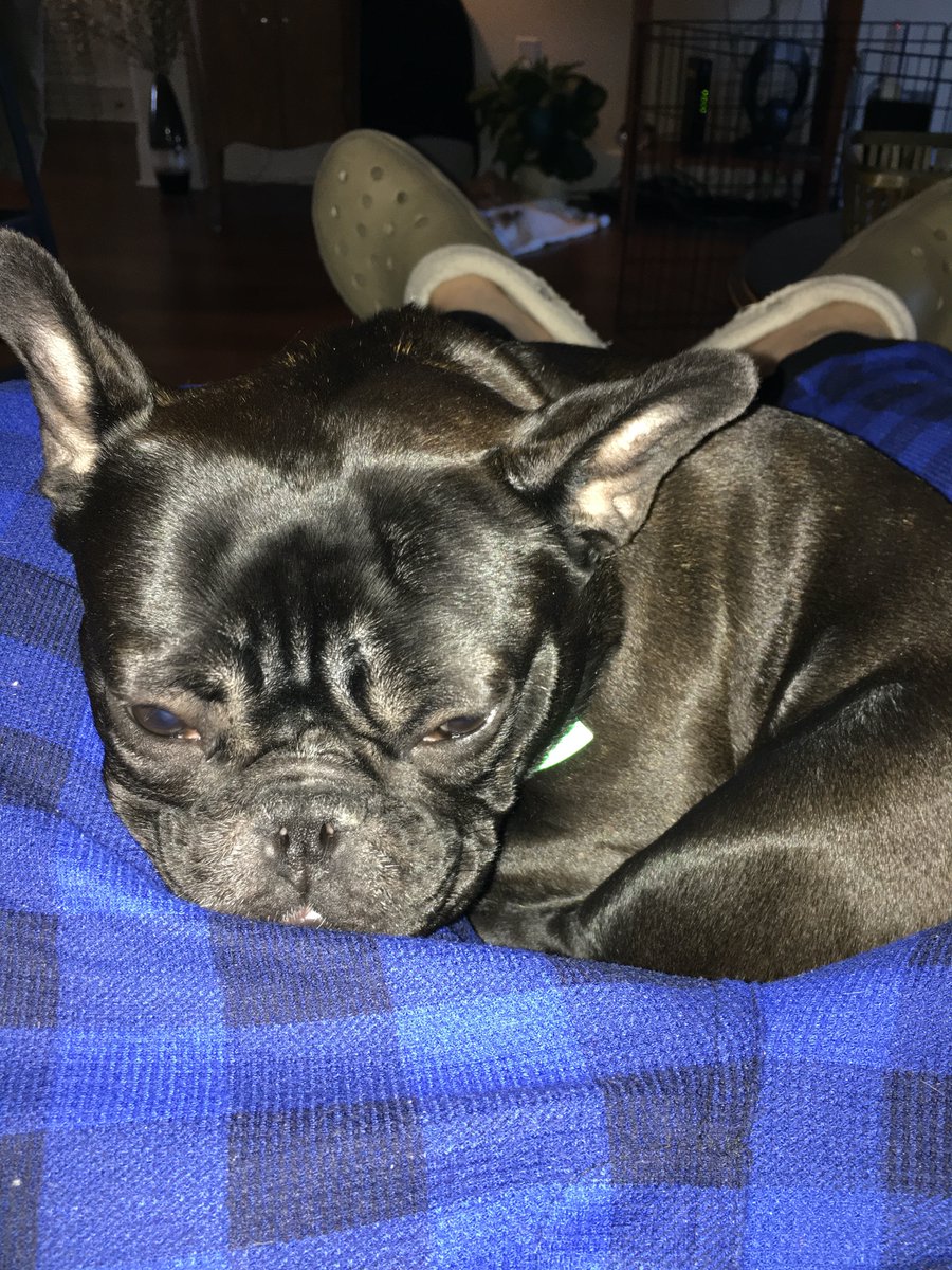 Look, don't bug me, I'm waiting for the @butlermbb tipoff v.s. @providencembb on Thursday at 2:30. #GoDawgs @ButlerBlue3 @ButlerBlueIV