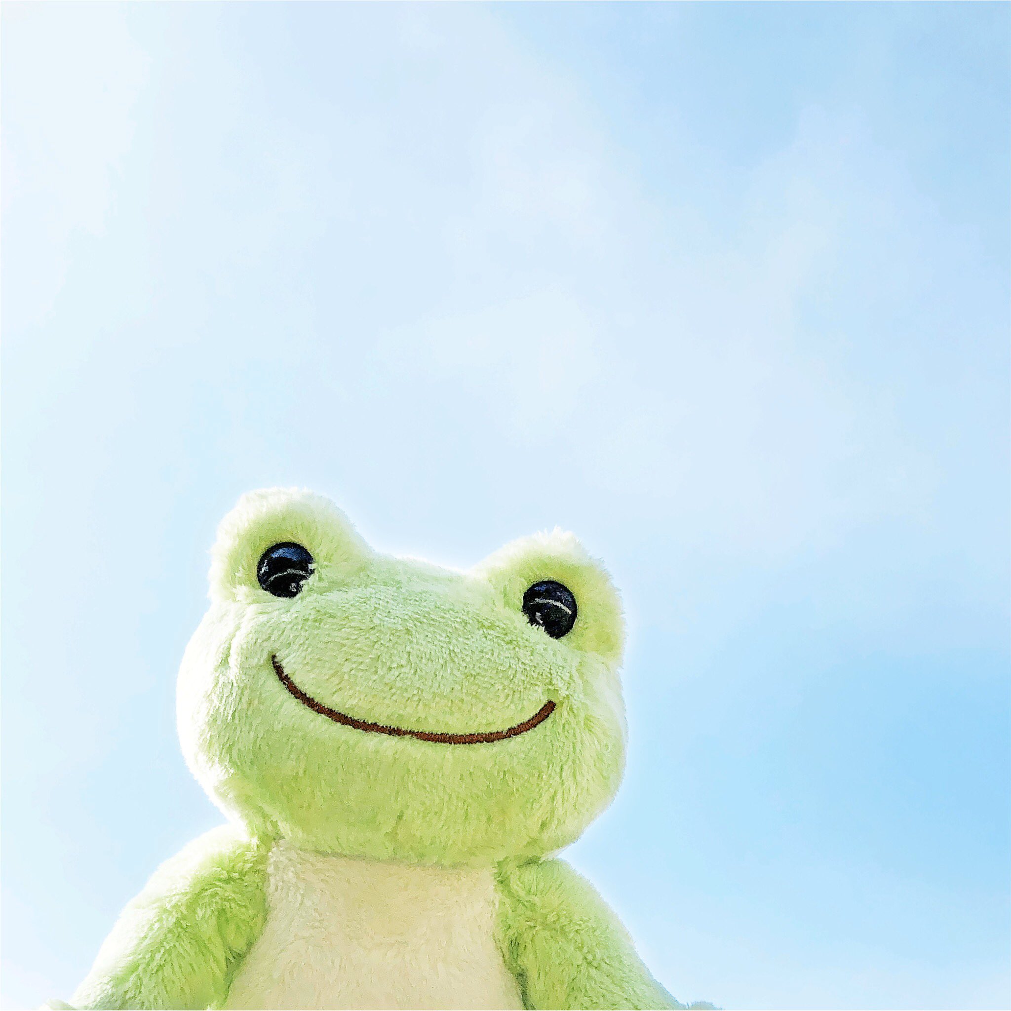 Pickles The Frog かえるのピクルス Thinking Of You かえるのピクルス Picklesthefrog Thinkingofyou 萌蛙匹克 無事かえる やっぺす Thinking Of You 君の事を想っているよ かえるのピクルスは 無事かえる を伝え続けて行きたいです