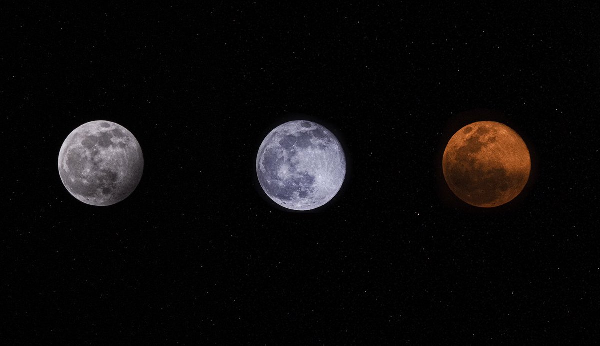 Esquedachris's tweet photo. Se acuerdan que les dije que tomaría todas las #Lunallena del 2020? Pues ahí la llevo. #Lunadellobo #Lunadenieve #LunadeGusano 👊🏼 https://t.co/liJ5hyu7tS