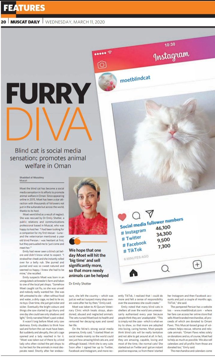 Blind cat that promotes animal welfare in Oman is social meida sensation.
<a href="/muscat_daily/">Muscat Daily</a>
<a href="/MoetBlindCat/">Moet the Blind Cat</a> 
<a href="/animalwelfare24/">Animal Welfare 24/7</a> 
<a href="/AnimalWelfareRN/">Animal Welfare Research Network (AWRN)</a>