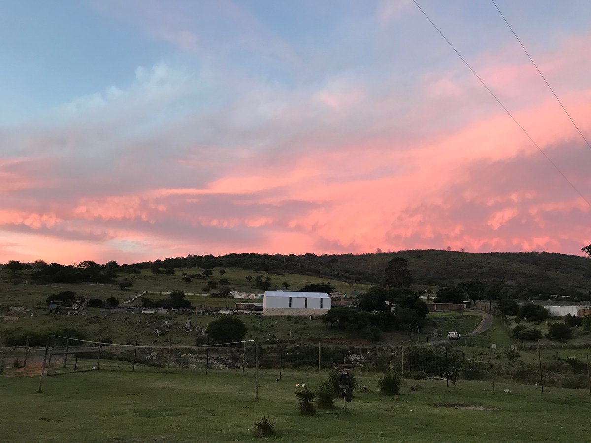 Jennings0910's tweet photo. Just two days until I’m en route to the most beautiful place on earth with the most wonderful wildlife and surrounded by nature...💛🧡
#SouthAfrica #PortElizabeth #WildlifeSanctary https://t.co/wiJPYh2ibb
