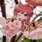 ツイートに含まれる画像