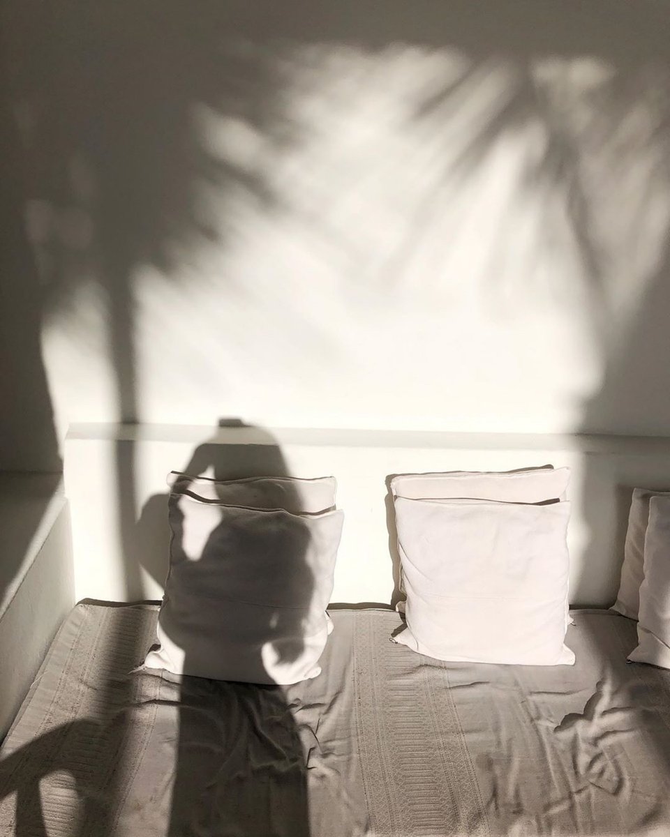 NEST Tulum tweet media