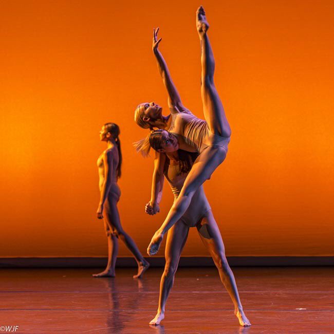 LAIDF2020's tweet photo. Join us for DANCE FOR ALL on 4/13 at @thebroadstage! This show brings together dancers if all different styles and abilities. To learn more about the companies performing &amp; to purchase tickets: https://t.co/NWnvnA88dI.  📸: Z Artists Group #dance #lathtr #LAIDF2020 https://t.co/q9U87oMgk8
