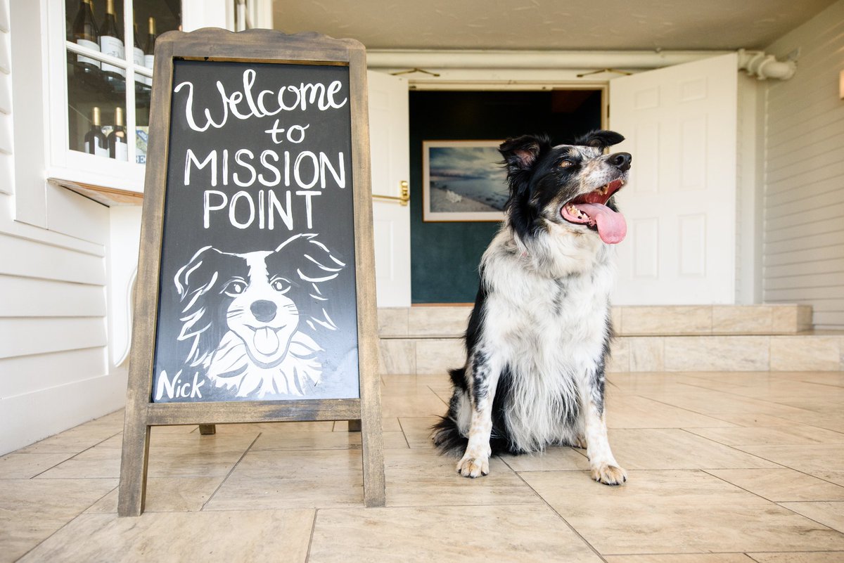 Mission_Point's tweet photo. #MackChat Want the best value for your money? Start your trip off on the right foot 🐾 by booking on a package! Our resident pup, Nick, loves making friends so bring the entire family on our Pooch at the Point package. Link in bio 🐶 #missionpoint #mymackinac https://t.co/i6Yx89yjMG