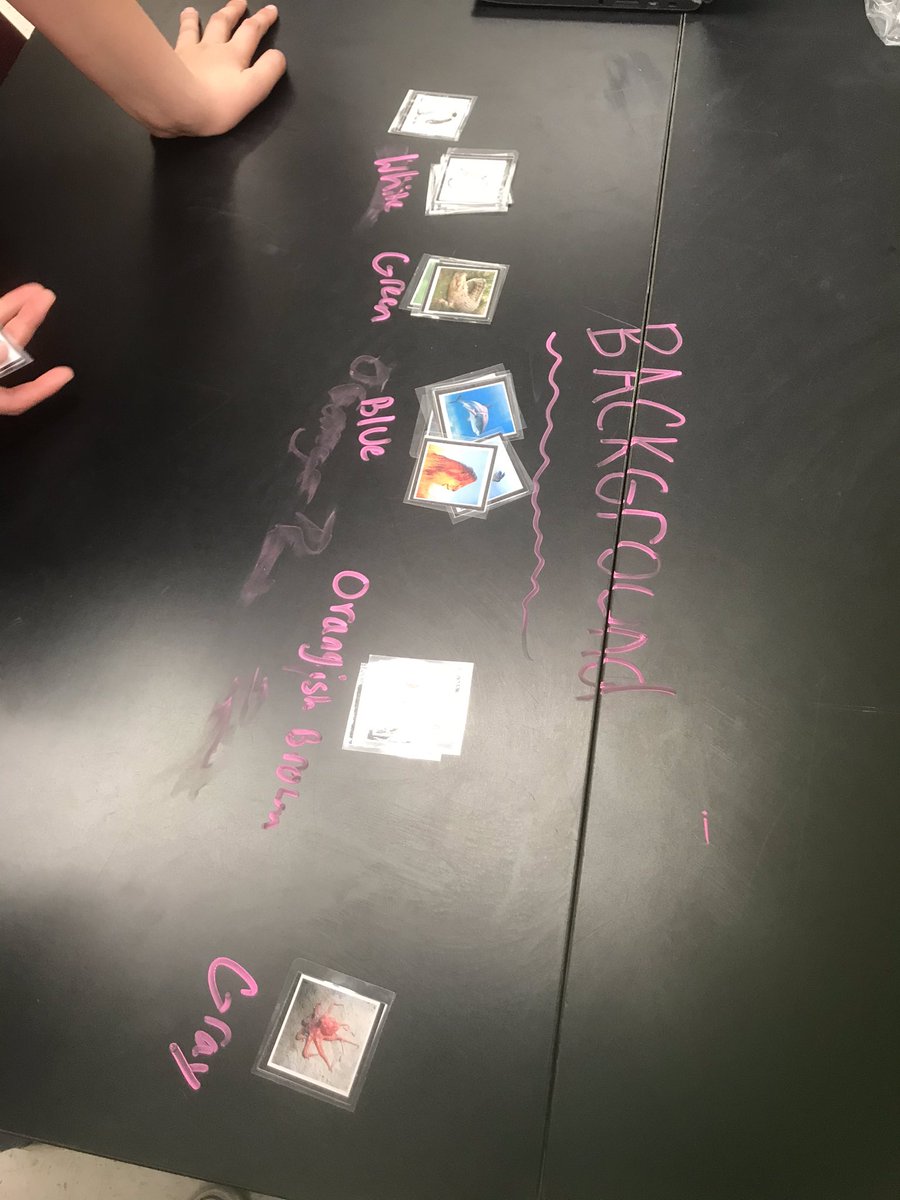 simonsscience's tweet image. Having Ss create their own classification models to see what they think is most important. 🤦🏻‍♀️🤷🏻‍♀️ I cant wait to see how they develop! #mbst #letsgrow @LCPSFarmwell