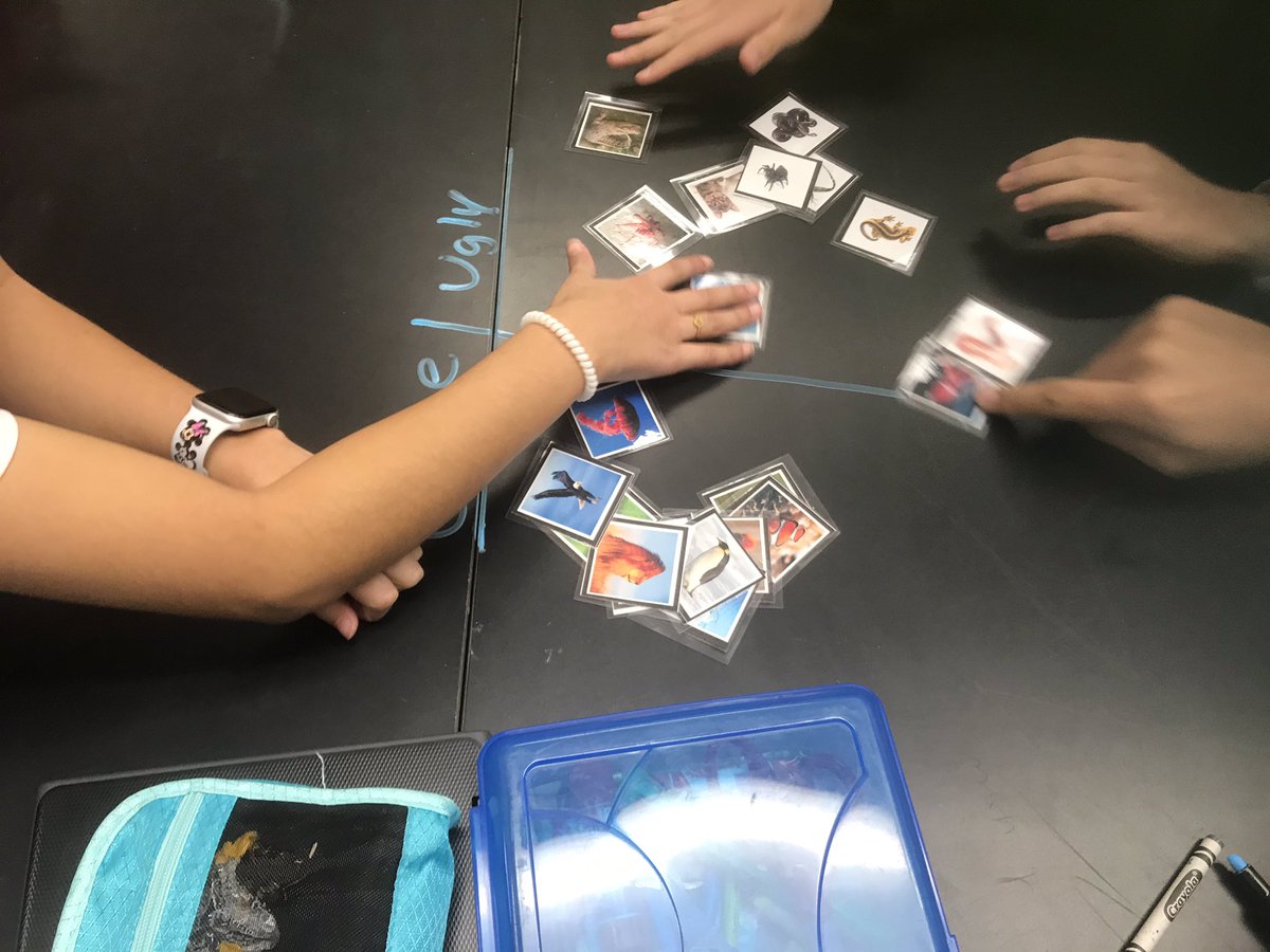 simonsscience's tweet image. Having Ss create their own classification models to see what they think is most important. 🤦🏻‍♀️🤷🏻‍♀️ I cant wait to see how they develop! #mbst #letsgrow @LCPSFarmwell