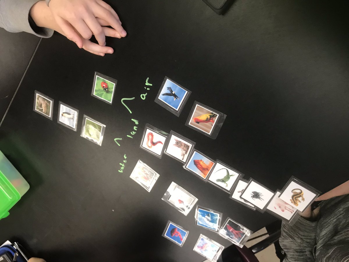 simonsscience's tweet image. Having Ss create their own classification models to see what they think is most important. 🤦🏻‍♀️🤷🏻‍♀️ I cant wait to see how they develop! #mbst #letsgrow @LCPSFarmwell