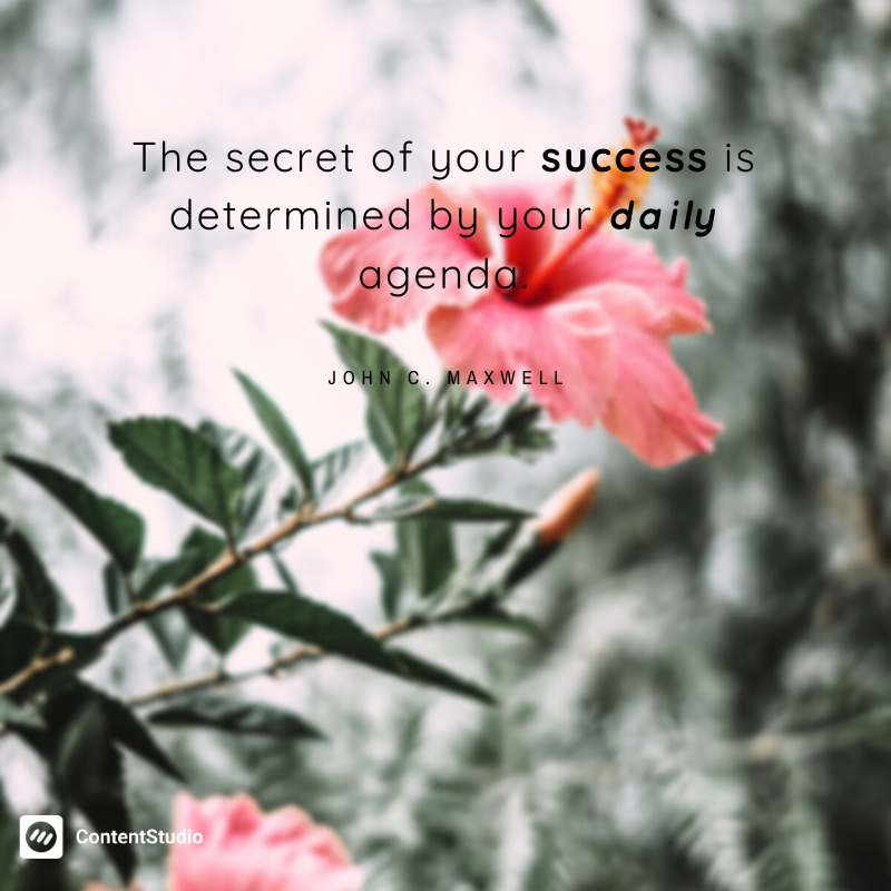 ContentStudioio's tweet photo. The price of success is hard work, dedication to the job at hand, and the determination that whether we win or lose, we have given it our best shot. That means daily, consistent efforts to improve yourself! https://t.co/HBbuOPDMoQ