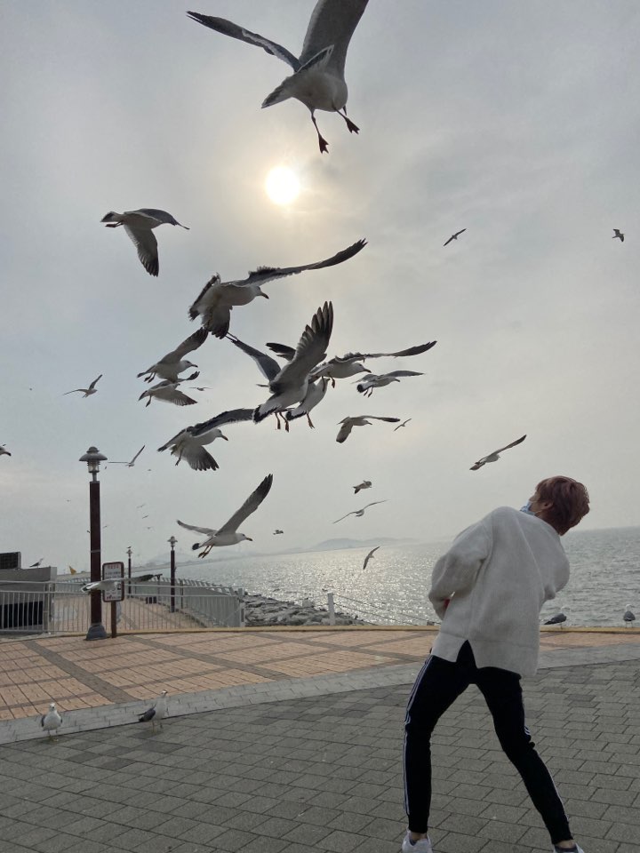 txt_precious's tweet photo. Soobin's nephew: yayaya uncle stahp it. Thats dangerous. You're gonna get hurt. 

Soobin: Its fine. Imma bad boiii 

Moas: stop attacking my baby ya d*mn birds. He got to go to the beach? UwU 
 @TXT_members @TXT_bighit 
#TOMORROW_X_TOGETHER 
#투모로우바이투게더 https://t.co/1o6QUpqlxT