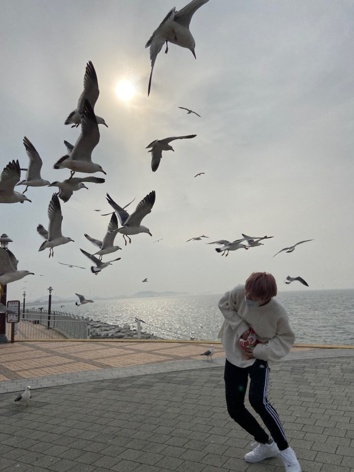 txt_precious's tweet photo. Soobin's nephew: yayaya uncle stahp it. Thats dangerous. You're gonna get hurt. 

Soobin: Its fine. Imma bad boiii 

Moas: stop attacking my baby ya d*mn birds. He got to go to the beach? UwU 
 @TXT_members @TXT_bighit 
#TOMORROW_X_TOGETHER 
#투모로우바이투게더 https://t.co/1o6QUpqlxT
