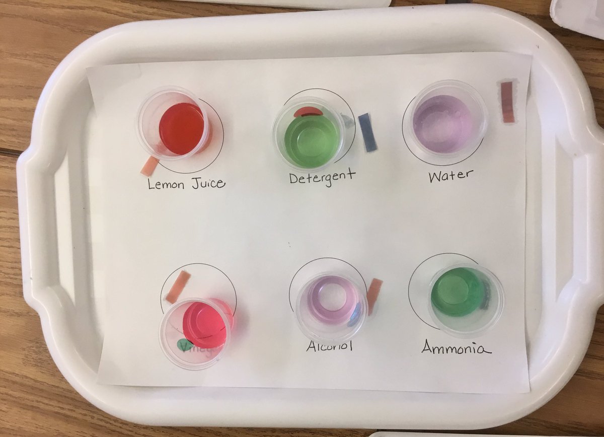 MrO_211's tweet photo. Today we used red cabbage juice as an indicator to test if some household liquids are an acid, base, or neutral. Acids turned red/pink, bases turned green, and neutral stayed the color of cabbage juice. We also tried out litmus paper. Can you tell which is acid, base, or neutral? https://t.co/aTKMxFPGwy