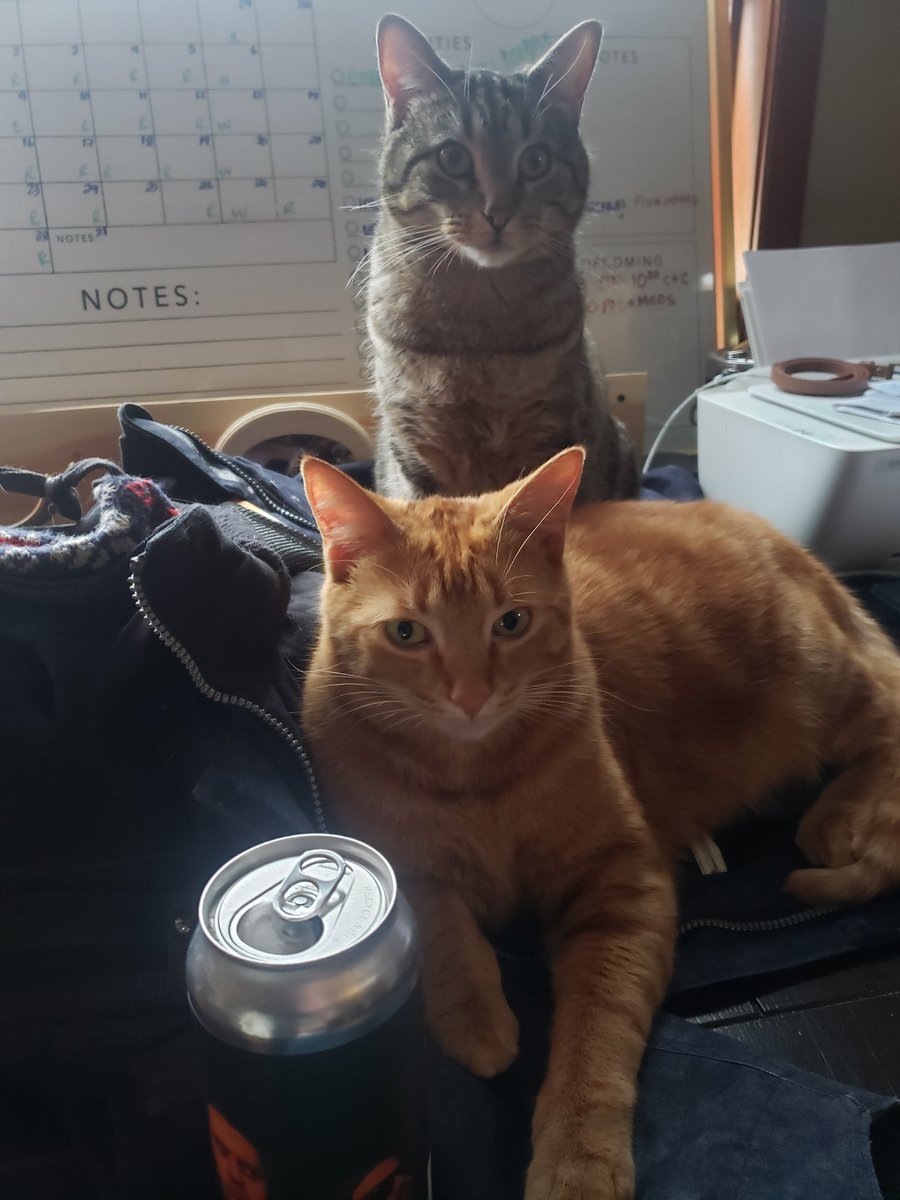TC78695864's tweet photo. Just having some chats and a beer. #bestbuds https://t.co/SiqkqJ6ped