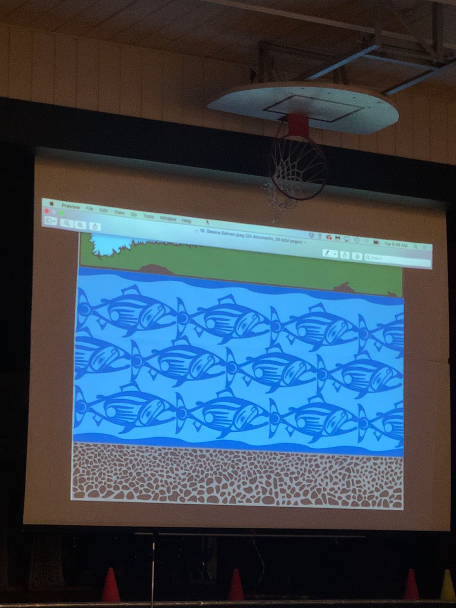 Amazing #storytelling by <a href="/lucky_budd/">@luckybudd.bsky.social 🇨🇦</a> today. Students were enthralled listening to "Cloudwalker"! #literacyweek #RuthKingReads #sd62