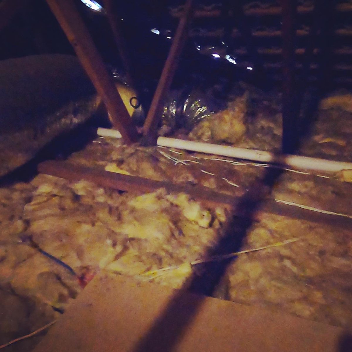 RedHotGo2's tweet photo. Probably shouldโve waited for winter for this job. But Iโm up here now. May as well continue. Thanks @EvanAndKatelyn for the idea. #diy #redhotgo #storage https://t.co/GpHOO2aaCs
