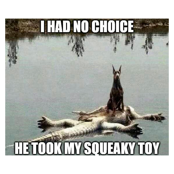 ESyoWHRUMAAXTS_.png